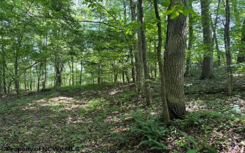 TBD Iron Town Road, Independence, West Virginia 26374, ,Lots/land,For Sale,Iron Town,10160083