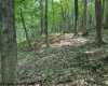 TBD Iron Town Road, Independence, West Virginia 26374, ,Lots/land,For Sale,Iron Town,10160083