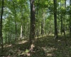TBD Iron Town Road, Independence, West Virginia 26374, ,Lots/land,For Sale,Iron Town,10160083