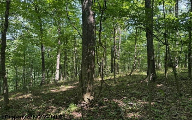 TBD Iron Town Road, Independence, West Virginia 26374, ,Lots/land,For Sale,Iron Town,10160083