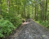 TBD Iron Town Road, Independence, West Virginia 26374, ,Lots/land,For Sale,Iron Town,10160083