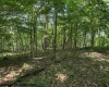 TBD Iron Town Road, Independence, West Virginia 26374, ,Lots/land,For Sale,Iron Town,10160083