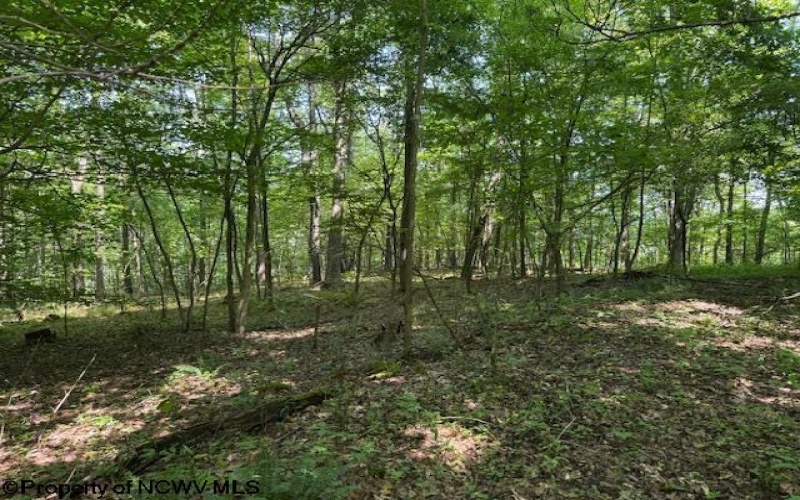 TBD Iron Town Road, Independence, West Virginia 26374, ,Lots/land,For Sale,Iron Town,10160083