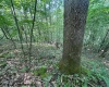 TBD Iron Town Road, Independence, West Virginia 26374, ,Lots/land,For Sale,Iron Town,10160083