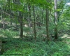 TBD Iron Town Road, Independence, West Virginia 26374, ,Lots/land,For Sale,Iron Town,10160083