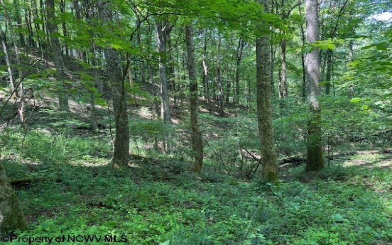 TBD Iron Town Road, Independence, West Virginia 26374, ,Lots/land,For Sale,Iron Town,10160083