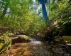 TBD Compressor Station Road, Bruceton Mills, West Virginia 26525, ,Lots/land,For Sale,Compressor Station,10160086