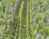 TBD Compressor Station Road, Bruceton Mills, West Virginia 26525, ,Lots/land,For Sale,Compressor Station,10160086