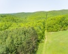 TBD Compressor Station Road, Bruceton Mills, West Virginia 26525, ,Lots/land,For Sale,Compressor Station,10160086