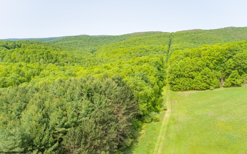 TBD Compressor Station Road, Bruceton Mills, West Virginia 26525, ,Lots/land,For Sale,Compressor Station,10160086