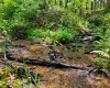 TBD Compressor Station Road, Bruceton Mills, West Virginia 26525, ,Lots/land,For Sale,Compressor Station,10160086