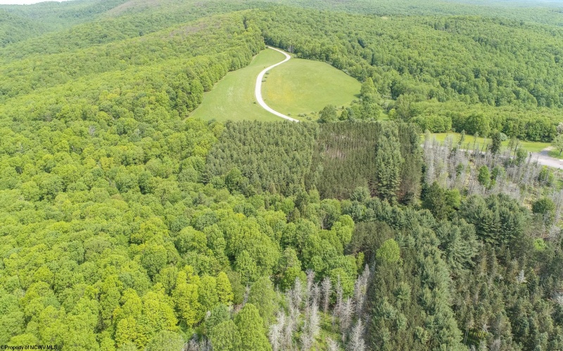 TBD Compressor Station Road, Bruceton Mills, West Virginia 26525, ,Lots/land,For Sale,Compressor Station,10160086