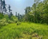 TBD Compressor Station Road, Bruceton Mills, West Virginia 26525, ,Lots/land,For Sale,Compressor Station,10160086