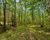 TBD Compressor Station Road, Bruceton Mills, West Virginia 26525, ,Lots/land,For Sale,Compressor Station,10160086