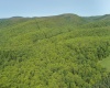 TBD Compressor Station Road, Bruceton Mills, West Virginia 26525, ,Lots/land,For Sale,Compressor Station,10160086