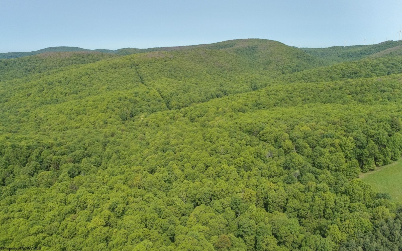 TBD Compressor Station Road, Bruceton Mills, West Virginia 26525, ,Lots/land,For Sale,Compressor Station,10160086