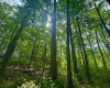 TBD Compressor Station Road, Bruceton Mills, West Virginia 26525, ,Lots/land,For Sale,Compressor Station,10160086