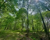 TBD Compressor Station Road, Bruceton Mills, West Virginia 26525, ,Lots/land,For Sale,Compressor Station,10160086