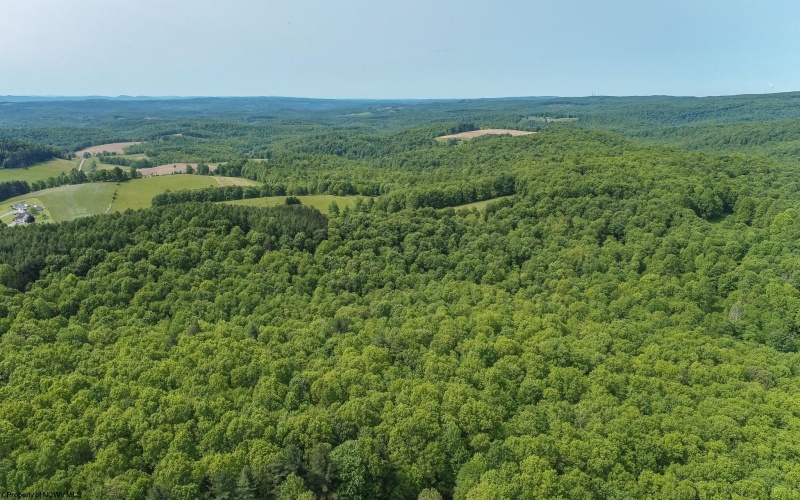 TBD Compressor Station Road, Bruceton Mills, West Virginia 26525, ,Lots/land,For Sale,Compressor Station,10160086