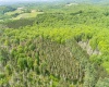 TBD Compressor Station Road, Bruceton Mills, West Virginia 26525, ,Lots/land,For Sale,Compressor Station,10160086