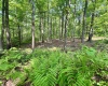 TBD Compressor Station Road, Bruceton Mills, West Virginia 26525, ,Lots/land,For Sale,Compressor Station,10160086