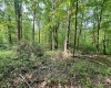 TBD Compressor Station Road, Bruceton Mills, West Virginia 26525, ,Lots/land,For Sale,Compressor Station,10160086