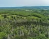 TBD Compressor Station Road, Bruceton Mills, West Virginia 26525, ,Lots/land,For Sale,Compressor Station,10160086