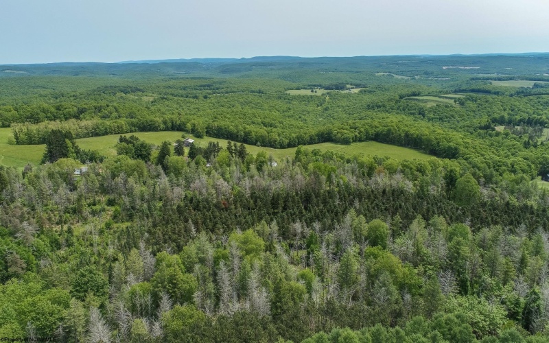 TBD Compressor Station Road, Bruceton Mills, West Virginia 26525, ,Lots/land,For Sale,Compressor Station,10160086