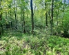 TBD Compressor Station Road, Bruceton Mills, West Virginia 26525, ,Lots/land,For Sale,Compressor Station,10160086