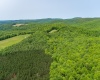 TBD Compressor Station Road, Bruceton Mills, West Virginia 26525, ,Lots/land,For Sale,Compressor Station,10160086