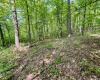 TBD Compressor Station Road, Bruceton Mills, West Virginia 26525, ,Lots/land,For Sale,Compressor Station,10160086