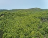 TBD Compressor Station Road, Bruceton Mills, West Virginia 26525, ,Lots/land,For Sale,Compressor Station,10160086