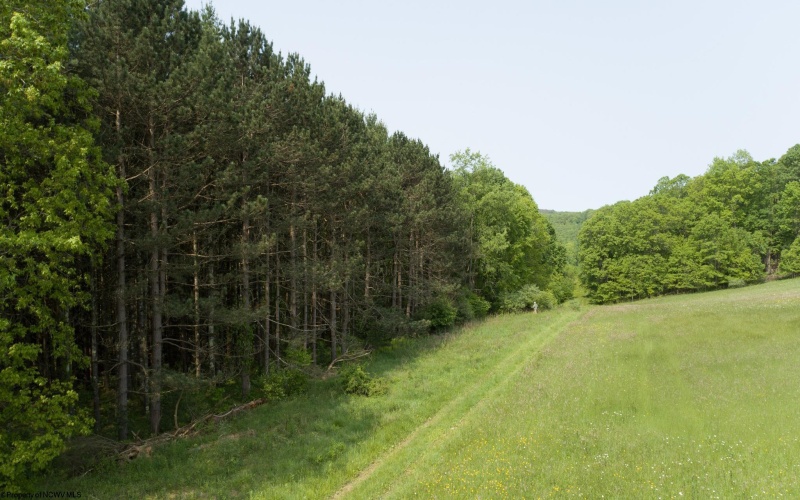 TBD Compressor Station Road, Bruceton Mills, West Virginia 26525, ,Lots/land,For Sale,Compressor Station,10160086