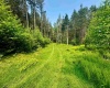 TBD Compressor Station Road, Bruceton Mills, West Virginia 26525, ,Lots/land,For Sale,Compressor Station,10160086