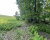 TBD Compressor Station Road, Bruceton Mills, West Virginia 26525, ,Lots/land,For Sale,Compressor Station,10160086