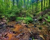 TBD Compressor Station Road, Bruceton Mills, West Virginia 26525, ,Lots/land,For Sale,Compressor Station,10160086