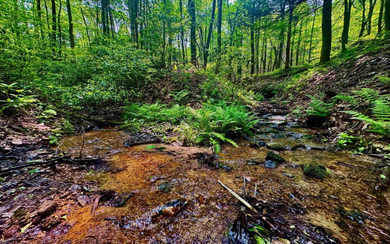 TBD Compressor Station Road, Bruceton Mills, West Virginia 26525, ,Lots/land,For Sale,Compressor Station,10160086