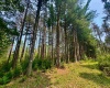 TBD Compressor Station Road, Bruceton Mills, West Virginia 26525, ,Lots/land,For Sale,Compressor Station,10160086