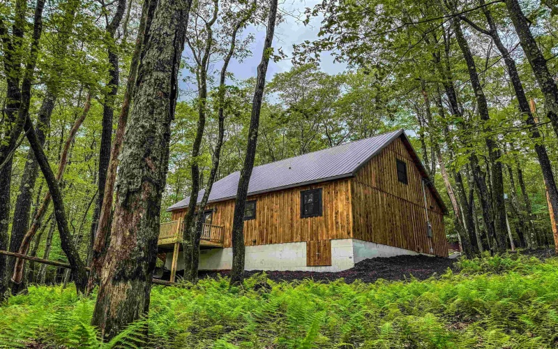 80 Beebalm Court, Terra Alta, West Virginia 26764-3114, 3 Bedrooms Bedrooms, 7 Rooms Rooms,2 BathroomsBathrooms,Single Family Detached,For Sale,Beebalm,10160078