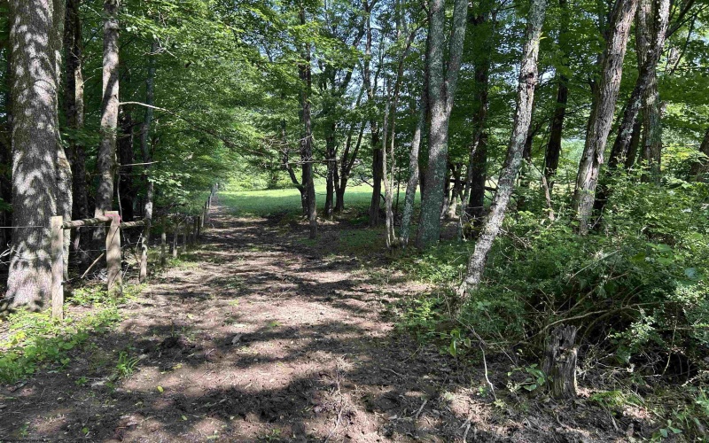 2214 Fairview Road, Independence, West Virginia 26374, 2 Bedrooms Bedrooms, 1 Room Rooms,3 BathroomsBathrooms,Single Family Detached,For Sale,Fairview,10160076