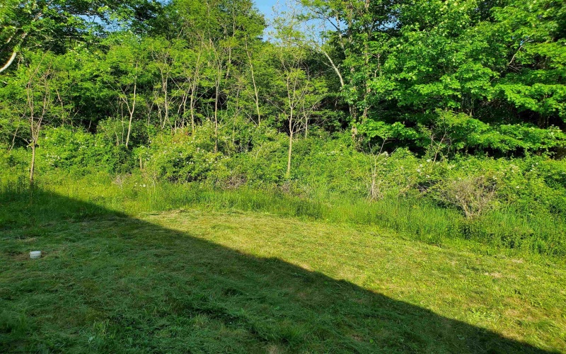 2493 Laneville Road, Dryfork, West Virginia 26263, 3 Bedrooms Bedrooms, 5 Rooms Rooms,2 BathroomsBathrooms,Single Family Detached,For Sale,Laneville,10160098