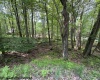 Lot 34 E Alpine Drive, Terra Alta, West Virginia 26764, ,Lots/land,For Sale,E Alpine,10160111