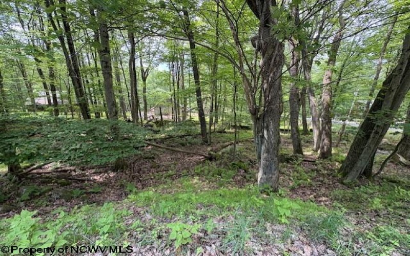 Lot 34 E Alpine Drive, Terra Alta, West Virginia 26764, ,Lots/land,For Sale,E Alpine,10160111