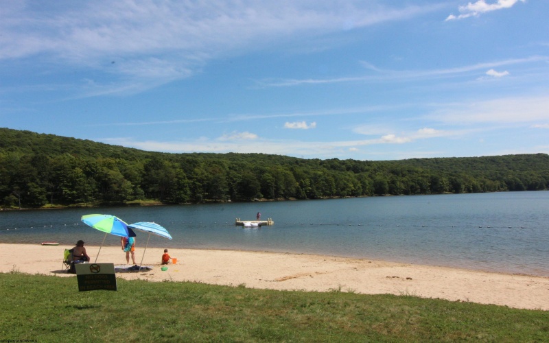 Lot 34 E Alpine Drive, Terra Alta, West Virginia 26764, ,Lots/land,For Sale,E Alpine,10160111