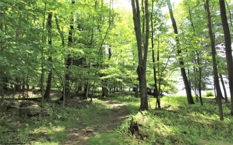 Lot 34 E Alpine Drive, Terra Alta, West Virginia 26764, ,Lots/land,For Sale,E Alpine,10160111