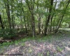 Lot 34 E Alpine Drive, Terra Alta, West Virginia 26764, ,Lots/land,For Sale,E Alpine,10160111