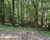 Lot 34 E Alpine Drive, Terra Alta, West Virginia 26764, ,Lots/land,For Sale,E Alpine,10160111