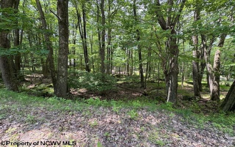 Lot 34 E Alpine Drive, Terra Alta, West Virginia 26764, ,Lots/land,For Sale,E Alpine,10160111