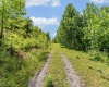 TBD Daybrook Road, Fairview, West Virginia 26570, ,Lots/land,For Sale,Daybrook,10160101