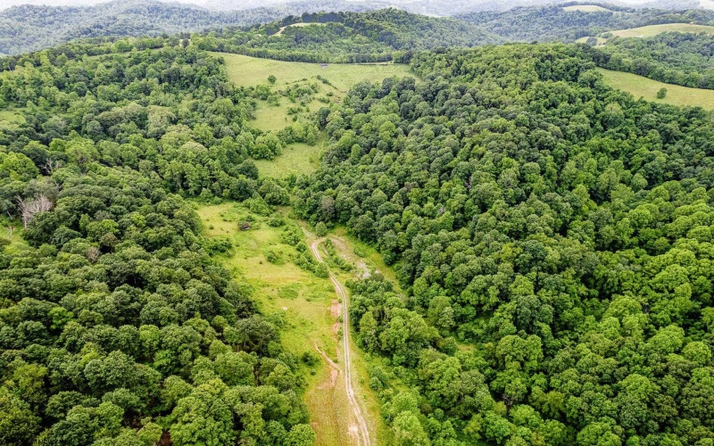 TBD Daybrook Road, Fairview, West Virginia 26570, ,Lots/land,For Sale,Daybrook,10160101